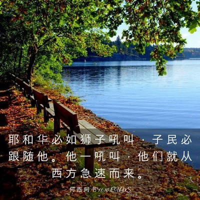 Picture 03 - 何 西 阿 书 11:10 CUVS - 耶 和 华 必 如 狮 子 吼 叫 ， 子 民 - Bible Verse Picture