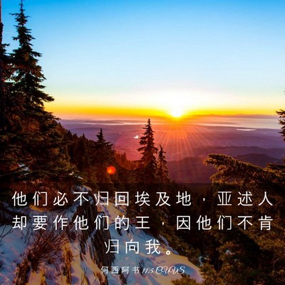 Picture 03 - 何 西 阿 书 11:5 CUVS - 他 们 必 不 归 回 埃 及 地 ， 亚 述 - Bible Verse Picture
