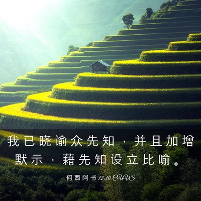 Picture 03 - 何 西 阿 书 12:10 CUVS - 我 已 晓 谕 众 先 知 ， 并 且 加 增 - Bible Verse Picture