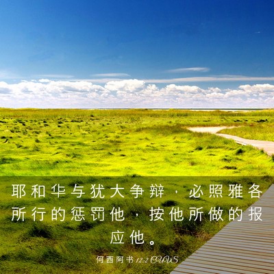Picture 03 - 何 西 阿 书 12:2 CUVS - 耶 和 华 与 犹 大 争 辩 ， 必 照 雅 - Bible Verse Picture
