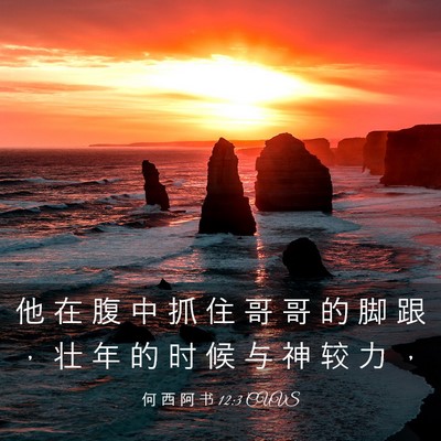 Picture 03 - 何 西 阿 书 12:3 CUVS - 他 在 腹 中 抓 住 哥 哥 的 脚 跟 ， - Bible Verse Picture