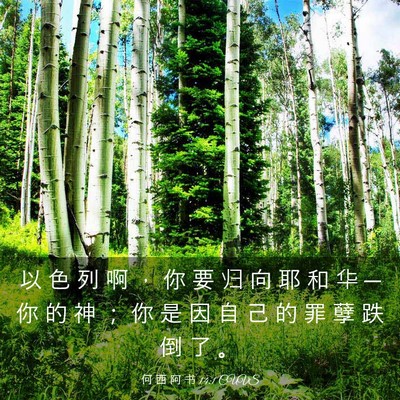 Picture 03 - 何 西 阿 书 14:1 CUVS - 以 色 列 啊 ， 你 要 归 向 耶 和 华 - Bible Verse Picture