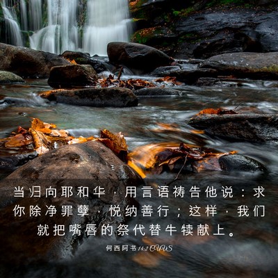 Picture 03 - 何 西 阿 书 14:2 CUVS - 当 归 向 耶 和 华 ， 用 言 语 祷 告 - Bible Verse Picture