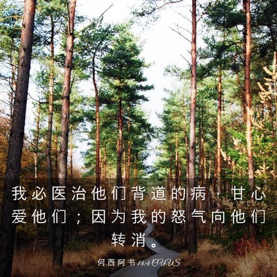 Picture 03 - 何 西 阿 书 14:4 CUVS - 我 必 医 治 他 们 背 道 的 病 ， 甘 - Bible Verse Picture