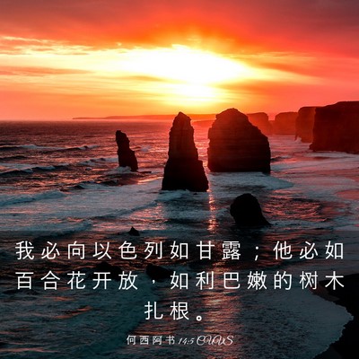 Picture 03 - 何 西 阿 书 14:5 CUVS - 我 必 向 以 色 列 如 甘 露 ； 他 必 - Bible Verse Picture