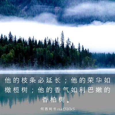 Picture 03 - 何 西 阿 书 14:6 CUVS - 他 的 枝 条 必 延 长 ； 他 的 荣 华 - Bible Verse Picture