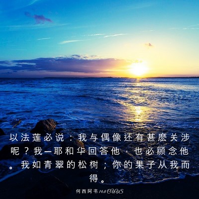 Picture 03 - 何 西 阿 书 14:8 CUVS - 以 法 莲 必 说 ： 我 与 偶 像 还 有 - Bible Verse Picture