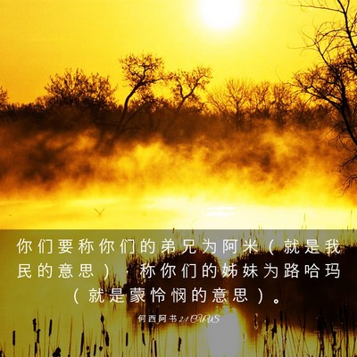Picture 03 - 何 西 阿 书 2:1 CUVS - 你 们 要 称 你 们 的 弟 兄 为 阿 米 - Bible Verse Picture