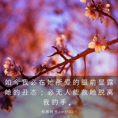 Picture 03 - 何 西 阿 书 2:10 CUVS - 如 今 我 必 在 她 所 爱 的 眼 前 显 - Bible Verse Picture