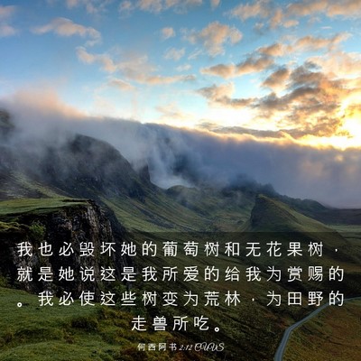 Picture 03 - 何 西 阿 书 2:12 CUVS - 我 也 必 毁 坏 她 的 葡 萄 树 和 无 - Bible Verse Picture