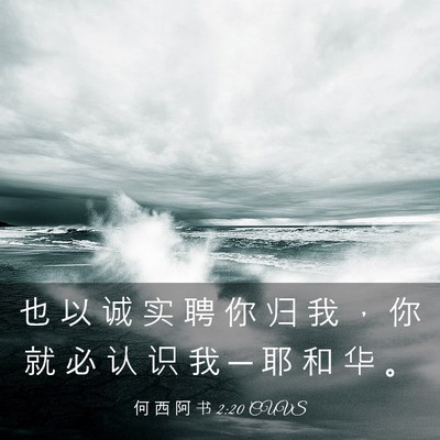 Picture 03 - 何 西 阿 书 2:20 CUVS - 也 以 诚 实 聘 你 归 我 ， 你 就 必 - Bible Verse Picture