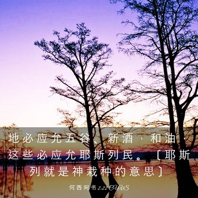 Picture 03 - 何 西 阿 书 2:22 CUVS - 地 必 应 允 五 谷 、 新 酒 ， 和 油 - Bible Verse Picture