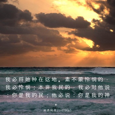 Picture 03 - 何 西 阿 书 2:23 CUVS - 我 必 将 她 种 在 这 地 。 素 不 蒙 - Bible Verse Picture