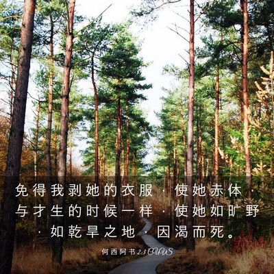 Picture 03 - 何 西 阿 书 2:3 CUVS - 免 得 我 剥 她 的 衣 服 ， 使 她 赤 - Bible Verse Picture