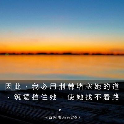 Picture 03 - 何 西 阿 书 2:6 CUVS - 因 此 ， 我 必 用 荆 棘 堵 塞 她 的 - Bible Verse Picture