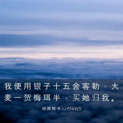 Picture 03 - 何 西 阿 书 3:2 CUVS - 我 便 用 银 子 十 五 舍 客 勒 ， 大 - Bible Verse Picture