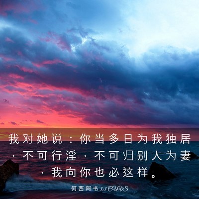 Picture 03 - 何 西 阿 书 3:3 CUVS - 我 对 她 说 ： 你 当 多 日 为 我 独 - Bible Verse Picture