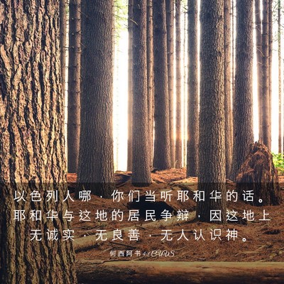 Picture 03 - 何 西 阿 书 4:1 CUVS - 以 色 列 人 哪 ， 你 们 当 听 耶 和 - Bible Verse Picture