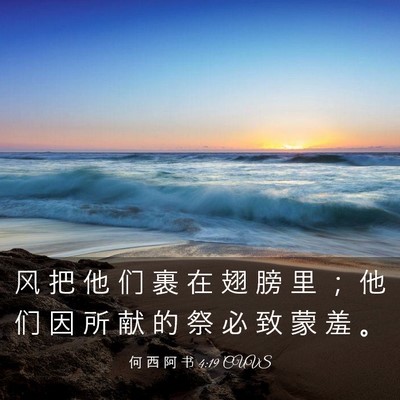 Picture 03 - 何 西 阿 书 4:19 CUVS - 风 把 他 们 裹 在 翅 膀 里 ； 他 们 - Bible Verse Picture