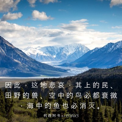 Picture 03 - 何 西 阿 书 4:3 CUVS - 因 此 ， 这 地 悲 哀 ， 其 上 的 民 - Bible Verse Picture