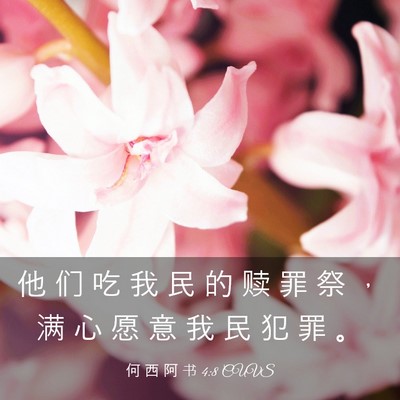 Picture 03 - 何 西 阿 书 4:8 CUVS - 他 们 吃 我 民 的 赎 罪 祭 ， 满 心 - Bible Verse Picture