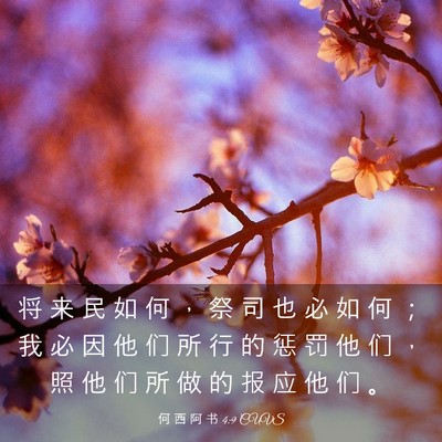 Picture 03 - 何 西 阿 书 4:9 CUVS - 将 来 民 如 何 ， 祭 司 也 必 如 何 - Bible Verse Picture