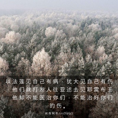 Picture 03 - 何 西 阿 书 5:13 CUVS - 以 法 莲 见 自 己 有 病 ， 犹 大 见 - Bible Verse Picture