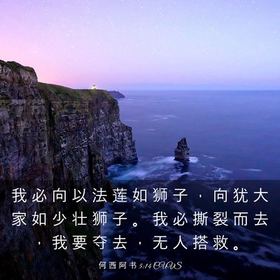 Picture 03 - 何 西 阿 书 5:14 CUVS - 我 必 向 以 法 莲 如 狮 子 ， 向 犹 - Bible Verse Picture