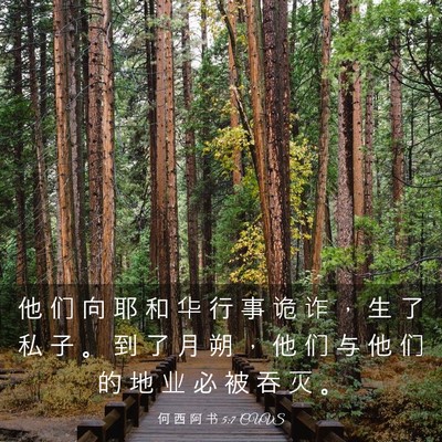 Picture 03 - 何 西 阿 书 5:7 CUVS - 他 们 向 耶 和 华 行 事 诡 诈 ， 生 - Bible Verse Picture