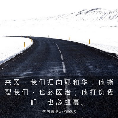 Picture 03 - 何 西 阿 书 6:1 CUVS - 来 罢 ， 我 们 归 向 耶 和 华 ！ 他 - Bible Verse Picture