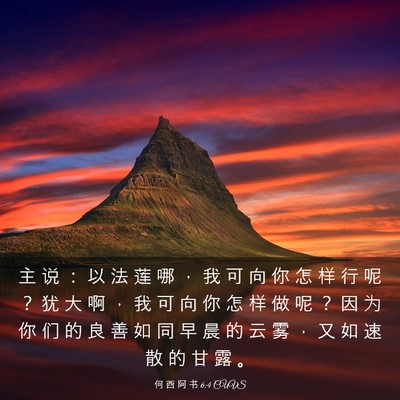 Picture 03 - 何 西 阿 书 6:4 CUVS - 主 说 ： 以 法 莲 哪 ， 我 可 向 你 - Bible Verse Picture