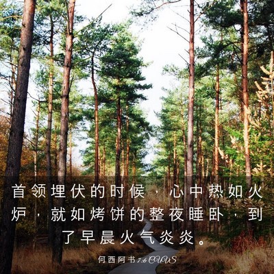 Picture 03 - 何 西 阿 书 7:6 CUVS - 首 领 埋 伏 的 时 候 ， 心 中 热 如 - Bible Verse Picture