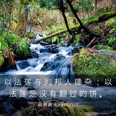 Picture 03 - 何 西 阿 书 7:8 CUVS - 以 法 莲 与 列 邦 人 搀 杂 ； 以 法 - Bible Verse Picture