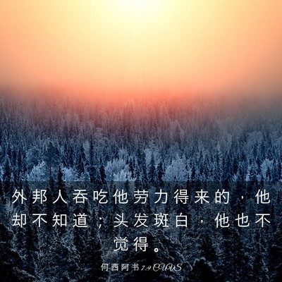 Picture 03 - 何 西 阿 书 7:9 CUVS - 外 邦 人 吞 吃 他 劳 力 得 来 的 ， - Bible Verse Picture