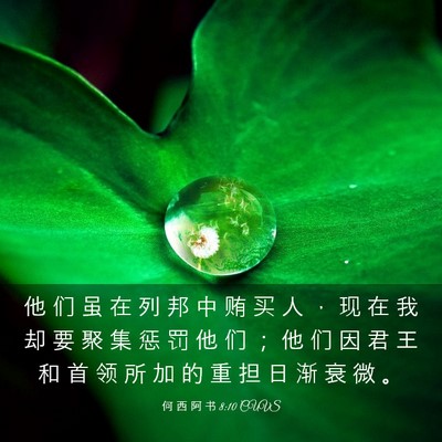 Picture 03 - 何 西 阿 书 8:10 CUVS - 他 们 虽 在 列 邦 中 贿 买 人 ， 现 - Bible Verse Picture