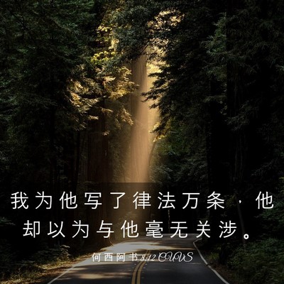 Picture 03 - 何 西 阿 书 8:12 CUVS - 我 为 他 写 了 律 法 万 条 ， 他 却 - Bible Verse Picture