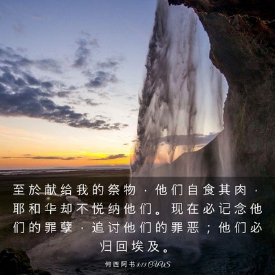 Picture 03 - 何 西 阿 书 8:13 CUVS - 至 於 献 给 我 的 祭 物 ， 他 们 自 - Bible Verse Picture