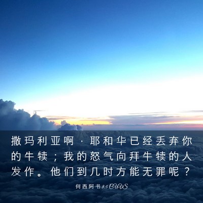Picture 03 - 何 西 阿 书 8:5 CUVS - 撒 玛 利 亚 啊 ， 耶 和 华 已 经 丢 - Bible Verse Picture
