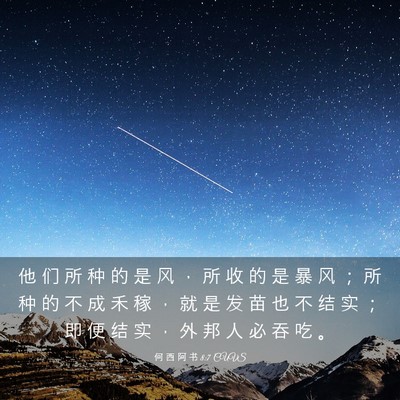 Picture 03 - 何 西 阿 书 8:7 CUVS - 他 们 所 种 的 是 风 ， 所 收 的 是 - Bible Verse Picture
