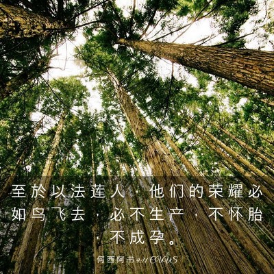 Picture 03 - 何 西 阿 书 9:11 CUVS - 至 於 以 法 莲 人 ， 他 们 的 荣 耀 - Bible Verse Picture