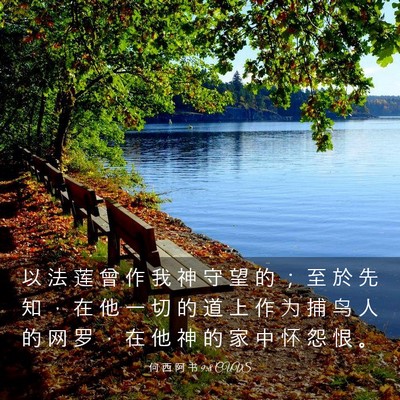 Picture 03 - 何 西 阿 书 9:8 CUVS - 以 法 莲 曾 作 我 神 守 望 的 ； 至 - Bible Verse Picture
