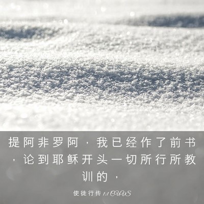 Picture 03 - 使 徒 行 传 1:1 CUVS - 提 阿 非 罗 阿 ， 我 已 经 作 了 前 - Bible Verse Picture