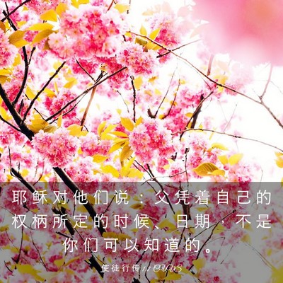 Picture 03 - 使 徒 行 传 1:7 CUVS - 耶 稣 对 他 们 说 ： 父 凭 着 自 己 - Bible Verse Picture