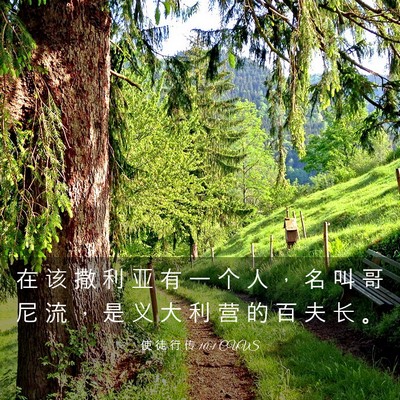 Picture 03 - 使 徒 行 传 10:1 CUVS - 在 该 撒 利 亚 有 一 个 人 ， 名 叫 - Bible Verse Picture