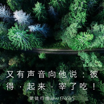 Picture 03 - 使 徒 行 传 10:13 CUVS - 又 有 声 音 向 他 说 ： 彼 得 ， 起 - Bible Verse Picture