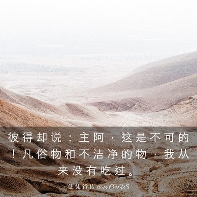 Picture 03 - 使 徒 行 传 10:14 CUVS - 彼 得 却 说 ： 主 阿 ， 这 是 不 可 - Bible Verse Picture