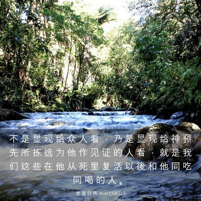 Picture 03 - 使 徒 行 传 10:41 CUVS - 不 是 显 现 给 众 人 看 ， 乃 是 显 - Bible Verse Picture