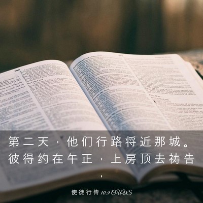 Picture 03 - 使 徒 行 传 10:9 CUVS - 第 二 天 ， 他 们 行 路 将 近 那 城 - Bible Verse Picture