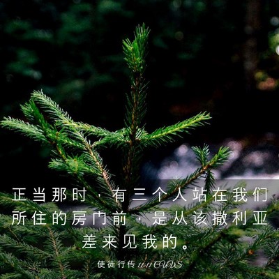 Picture 03 - 使 徒 行 传 11:11 CUVS - 正 当 那 时 ， 有 三 个 人 站 在 我 - Bible Verse Picture