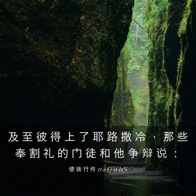 Picture 03 - 使 徒 行 传 11:2 CUVS - 及 至 彼 得 上 了 耶 路 撒 冷 ， 那 - Bible Verse Picture
